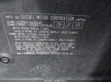 SUZUKI GRAND VITARA PREMIUM JS3TE0D25A4100407 снимка