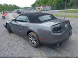 FORD MUSTANG GT PREMIUM 1ZVBP8FF5C5275253 снимка