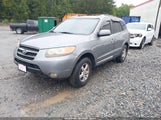 HYUNDAI SANTA FE GLS 5NMSG13D07H062128 photo