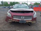 NISSAN MAXIMA 3.5 SV 1N4AA5AP3BC818582 снимка
