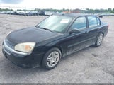 CHEVROLET MALIBU 1G1ZS52865F235372 снимка