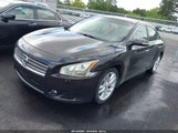 NISSAN MAXIMA 3.5 SV 1N4AA5AP1BC827037 снимка