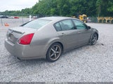 NISSAN MAXIMA 3.5 SE 1N4BA41E05C816936 снимка