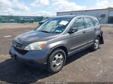 HONDA CR-V LX 5J6RE48359L054379 fotografie
