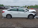 HYUNDAI SONATA LIMITED 5NPE34AF6FH071075 снимка