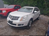 CADILLAC SRX PREMIUM COLLECTION 3GYFNFEY8AS580843 снимка