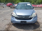 HONDA CR-V LX 5J6RE4H3XAL092212 photo