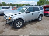 FORD ESCAPE XLT 1FMCU0DG4AKA54380 снимка