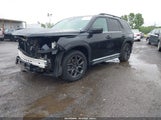 HONDA PILOT AWD ELITE 5FNYG1H89PB030270 снимка