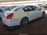 NISSAN MAXIMA 3.5 SE 1N4BA41E24C869006 снимка