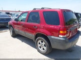 FORD ESCAPE XLT 1FMYU031X5KE17077 снимка