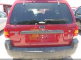 FORD ESCAPE XLT 1FMYU031X5KE17077 снимка