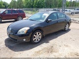 NISSAN MAXIMA 3.5 SL 1N4BA41E16C855889 снимка