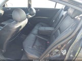NISSAN MAXIMA 3.5 SE 1N4BA41E54C895213 снимка