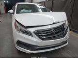 HYUNDAI SONATA SPORT 2.0T 5NPE34AB6FH088018 photo
