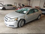 CHEVROLET MALIBU 1FL 1G11A5SA9DF312561 снимка