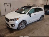 KIA SORENTO 3.3L SX 5XYPKDA57GG172993 fotografie