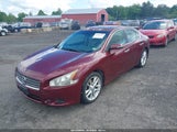 NISSAN MAXIMA 3.5 SV 1N4AA5AP3AC838149 снимка