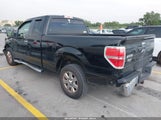 Ford F-150 Xlt 1FTEX1CM1DKG54053 снимка