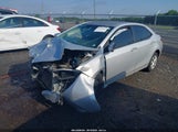 TOYOTA COROLLA L 2T1BURHE1FC445993 fotografie
