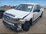 TOYOTA TUNDRA SR5 5.7L V8 5TFEW5F17GX196232 fotografie