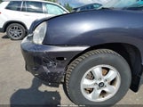 HYUNDAI SANTA FE GLS KM8SC73D35U979953 снимка