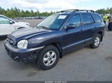 HYUNDAI SANTA FE GLS KM8SC73D35U979953 снимка