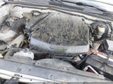 TOYOTA TACOMA BASE V6 5TELU42N18Z552359 fotografie