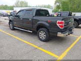 FORD F-150 XLT 1FTFW1ET0EKE60305 снимка