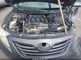 TOYOTA CAMRY LE V6 4T1BK46KX9U088849 photo