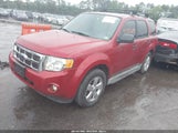 FORD ESCAPE XLT 1FMCU93G69KC25955 снимка