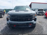Chevrolet Silverado  4Wd Short Bed Custom Trail Boss 3GCPDCEK4RG437300 снимка