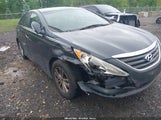 HYUNDAI SONATA GLS 5NPEB4AC6EH881653 fotografie