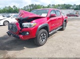 TOYOTA TACOMA TRD OFF-ROAD 5TFCZ5AN2MX263159 fotografie