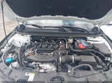 HONDA ACCORD LX 1HGCY1F26RA063973 photo