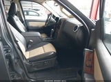 Ford Explorer Eddie Bauer 1FMEU7EE5AUA07877 photo