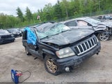 JEEP GRAND CHEROKEE LAREDO 1J4GW48S24C238201 снимка