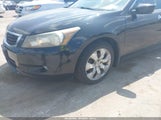 HONDA ACCORD 3.5 EX-L 5KBCP3F8XAB006593 photo