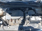 KIA SPORTAGE LX KNDPM3AC0H7220304 снимка