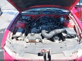 FORD MUSTANG V6/V6 PREMIUM 1ZVBP8AN7A5178969 photo
