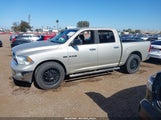 DODGE RAM 1500 SLT/SPORT/TRX 1D3HB13T69J505466 fotografie