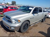 DODGE RAM 1500 SLT/SPORT/TRX 1D3HB13T69J505466 fotografie