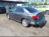 TOYOTA COROLLA S 2T1BU40E89C161084 fotografie
