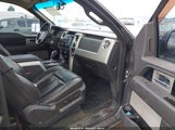 FORD F-150 FX4/KING RANCH/LARIAT/PLATINUM/XL/XLT 1FTPW14V29FA87855 photo