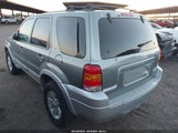 Ford Escape Hybrid 1FMCU95H16KA35563 снимка