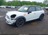 MINI COUNTRYMAN COOPER WMWZB3C53DWM08244 снимка