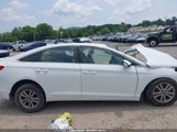 Hyundai Sonata Se 5NPE24AF1GH288599 снимка