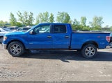 FORD F-150 XLT 1FTFW1ET3DKD66644 снимка