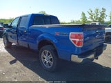 FORD F-150 XLT 1FTFW1ET3DKD66644 снимка