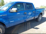 FORD F-150 XLT 1FTFW1ET3DKD66644 снимка